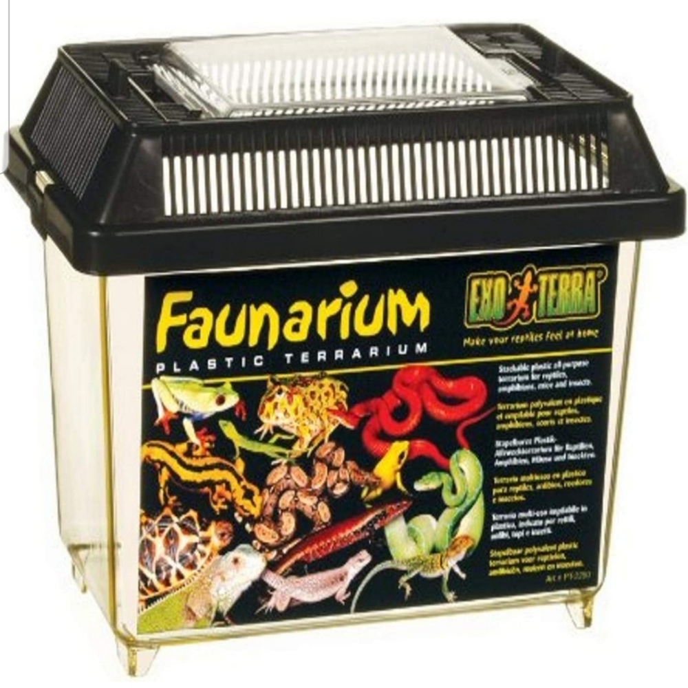 Faunarium Small Plastic Terrarium with Coconut Husk Brick